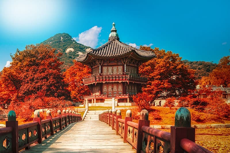 South Korea Luxury & Deluxe Tours